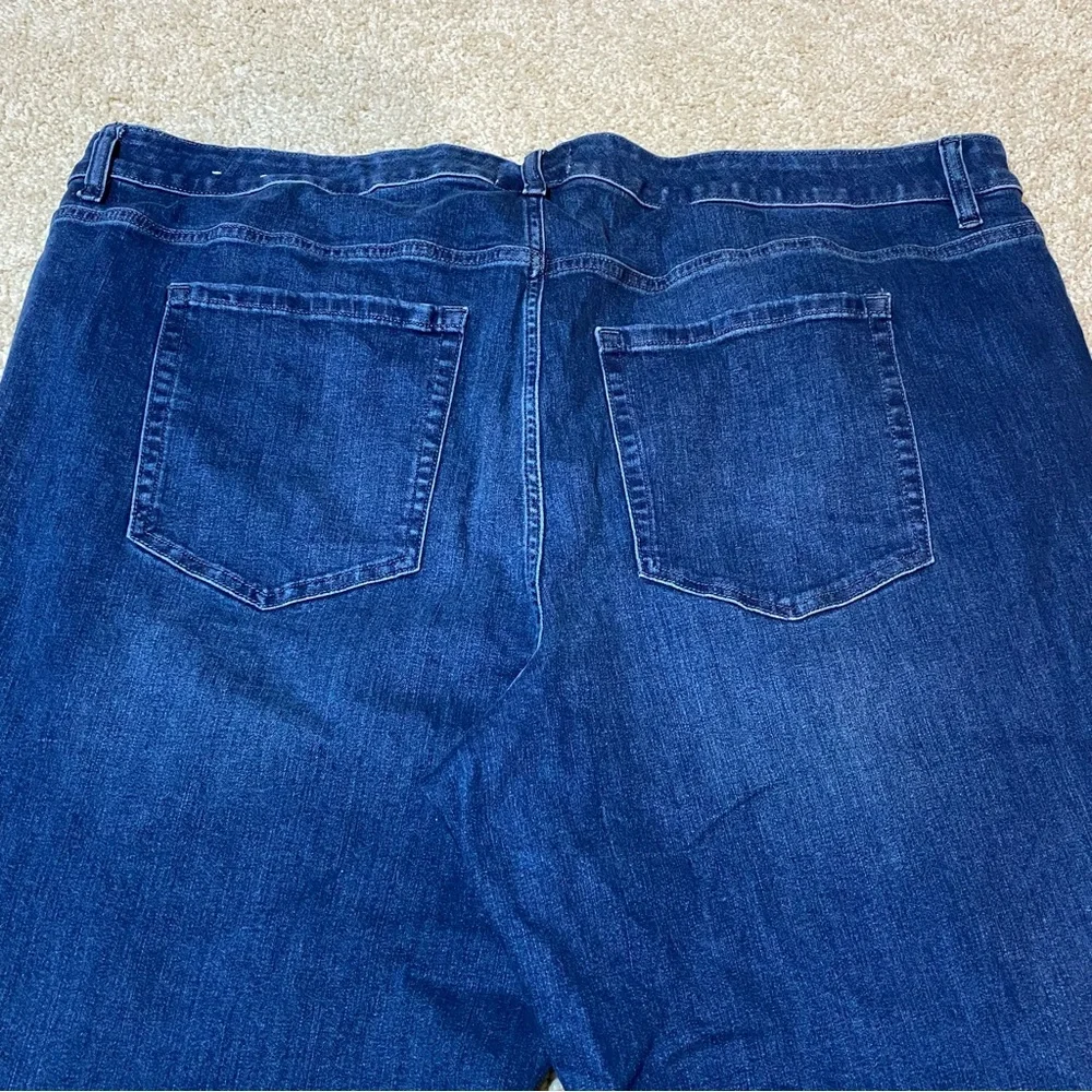 Lane Bryant lane bryant